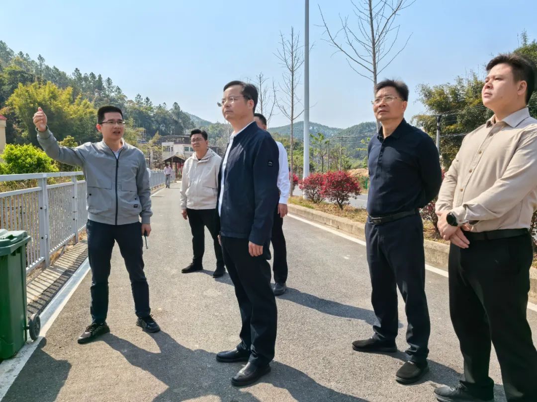 堅持規劃引領、壓實工作責任！縣長鄧紅衛督導九和鎮鄉村風貌示范帶建設